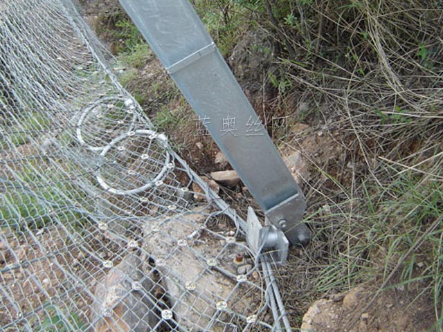 ���ӷ��o�W�㲿��