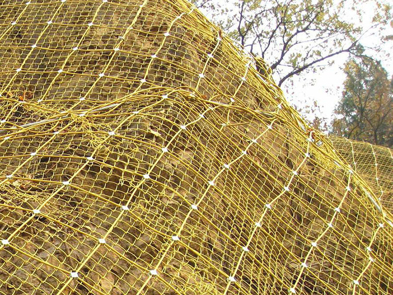 ��������(d��ng)���o(h��)�W(w��ng)